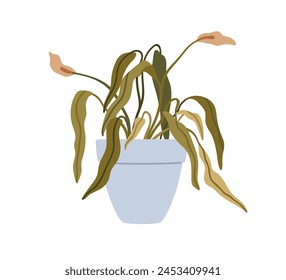 Planta de hoja descolorida marchita. Planta de casa seca marchita con flores muertas en maceta. Espatifilo poco saludable en maceta, deja mal estado. Ilustración vectorial plana aislada sobre fondo blanco