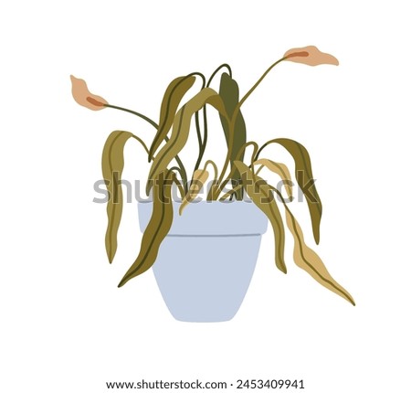 Similar – Image, Stock Photo Withered faded flowers on a compost
