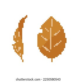 withered leaves.Vector illustration that is easy to edit.