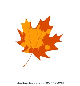 Ahornblatt mit Verdrahtung. Gefallene Herbstblattsymbol.