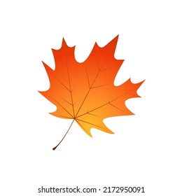 Withered maple leaf. Fallen autumn maple leaf icon.