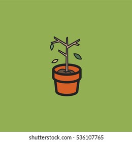 Withered plant in a clay pot