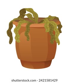 Withered wilted plant in pot. Foliage houseplant with dead dry leaves, sick ill leaf. Damaged dying spathiphyllum, faded flowers with disease. Flat vector illustration isolated on white background
