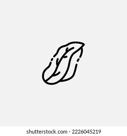 Witloof icon sign vector,Symbol, logo illustration for web and mobile