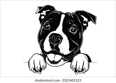 Witness the endearing moment as a Staffordshire Bull Terrier peeks with curiosity. This loyal and affectionate dog breed captivates hearts with its expressive eyes and playful nature. Perfect for vari