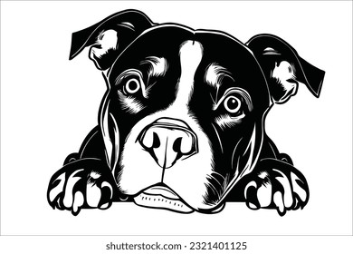 Witness the endearing moment as a Staffordshire Bull Terrier peeks with curiosity. This loyal and affectionate dog breed captivates hearts with its expressive eyes and playful nature. Perfect for vari