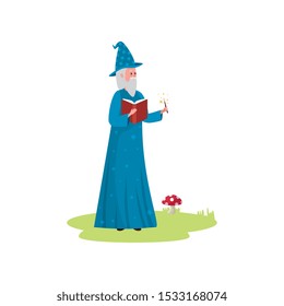 wizard of fairytale avatar character vector illustration design