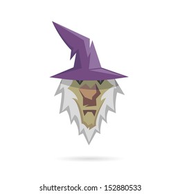 Wizard isolated on a white backgrounds, vector illustration