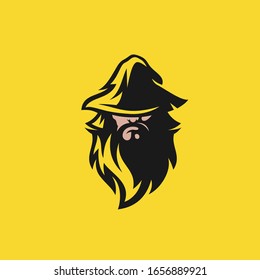 wizard logo design vector illustration