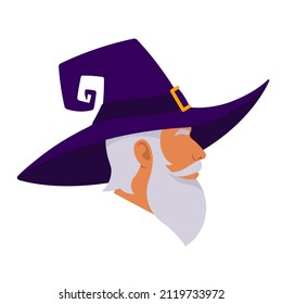 Wizard. Portrait of sorcerer in magical hat, old man with gray beard. Elderly person, witchcraft costume, wide brimmed witch hat with conical shape. Illustration for cover, poster, banner, design.