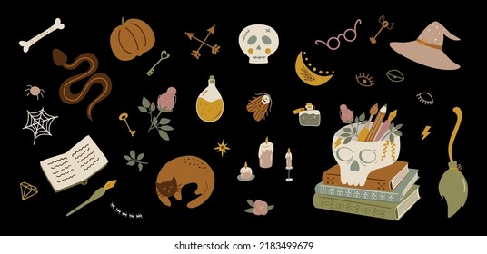 Wizard symbols collection. Dark academia. Cartoon magic set, Halloween witchcraft isolated elements. Vector doodle of witch potion, human skull, snake bug cat books pumpkin alchemy mystery objects.