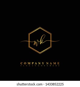 WK Initial luxury handwriting logo vector