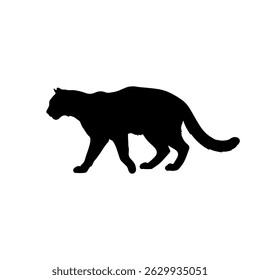 Wlid Cat silhouette vector flat illustration design.