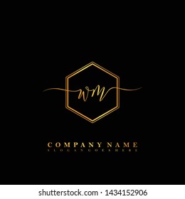 WM Initial luxury handwriting logo vector
