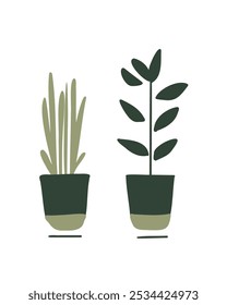 wo potted plants, ideal for nature-themed designs and botanical decor