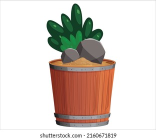 Wodden Potted plant and stone on white background
