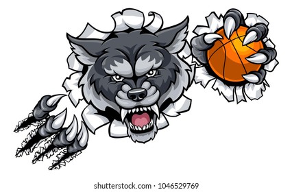 A wolf angry animal sports mascot holding a basketball ball and breaking through the background with its claws