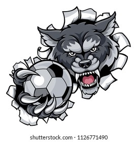 A wolf angry animal sports mascot holding a soccer football ball and breaking through the background with its claws