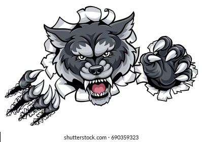 A wolf angry animal sports mascot and breaking through the background with its claws