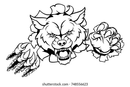 A wolf angry animal sports mascot and breaking through the background with its claws