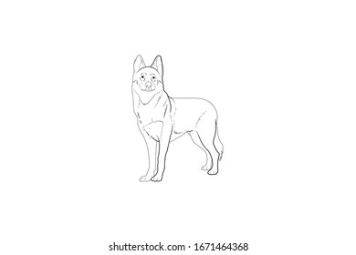 Wolf Animal Cartoon Vector Outline Illustration