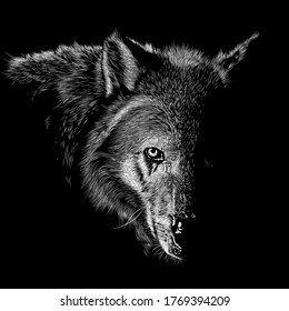 Wolf animal illustration, nature conservation vector