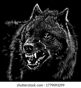 Wolf animal illustration  nature conservation vector