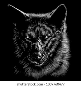 Wolf animal illustration, nature conservation vector