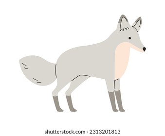 Wolf Animal Staying Vector Illustration