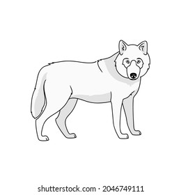 wolf, arctic animal symbol of stregth power gray dangerous predator logo knowledge aout nature vector illustration isolated