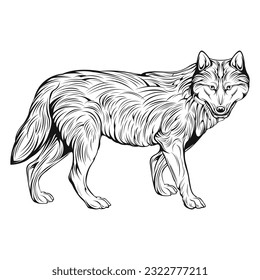 Wolf Art Walking Line Art Vector Illustration