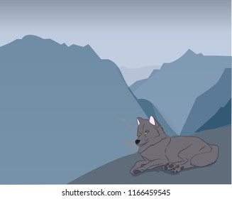 wolf asleep on background nature background, vector