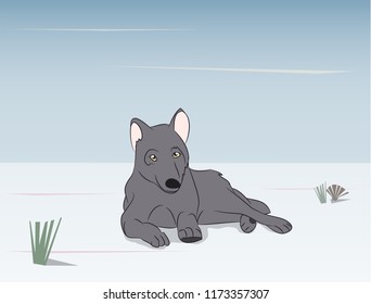 wolf asleep on background nature background, vector
