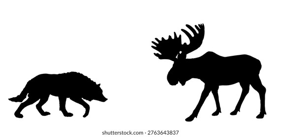 Wolf attack prey moose elk vector silhouette illustration isolated. Angry beast danger hunt attack animal deer battle for life. Strong powerful buck fight VS alpha wolf. Wildlife survival for food.