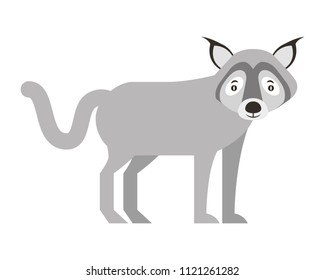wolf beast creature animal image