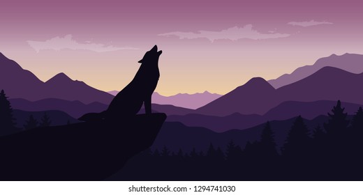 wolf at beautiful purple mountain wildlife nature landscape vector illustration EPS10