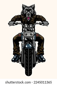 Wolf Biker Ride The Motorcycle in Front View Angle