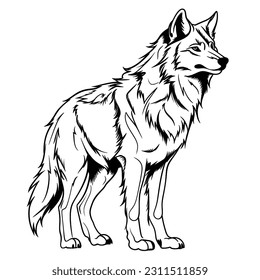 Wolf black and white outline, This stunning piece of digital art brings to life the majestic essence of the wolf in a captivating and minimalist style. The intricate black and white lines intrica