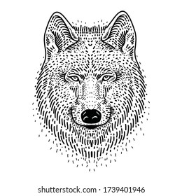 Wolf bolt Emblem, mascot head silhouette, sport logotype. Template for business or t-shirt design. Vector