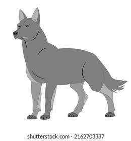 Wolf-Cartoon-Charakter. Wolfsinvektor einzeln auf weißem Hintergrund.  Wolf-Symbol. Tiergrafik für Zoowerbung, Naturkonzept, Kinderbuch zur Illustration