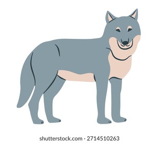 Ilustración vectorial de dibujos animados de lobo. Clipart animal salvaje plana. Lobo en pose sentada
