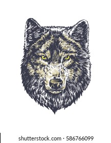 Wolf dark on white background vector hand draw illustration. T-shirt illustration. Poster illustration. Sticker illustration.