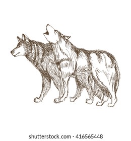 Wolf design. Animal concept.Wildlife animal, vector illustration
