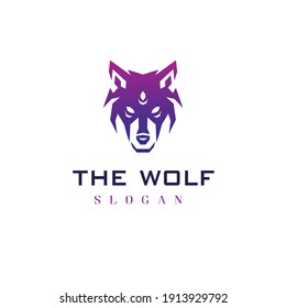 Wolf Design Logo Vector template