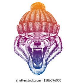 Wolf, dog. Ski, skier animal wearing woolen knitted hat. Christmas time. Cartoon character for little children. Kids print for shirts, tee. Nursery decor.