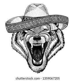 Wolf, dog wearing traditional mexican hat. Classic headdress, fiesta, party.