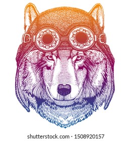 Wolf, dog wearing vintage aviator leather helmet. Image in retro style. Flying club or motorcycle biker emblem. Vector illustration, print for tee shirt, badge logo patch