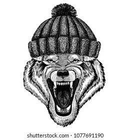 Wolf Dog Wild animal Cool animal wearing knitted winter hat. Warm headdress beanie Christmas cap for tattoo, t-shirt, emblem, badge, logo, patch