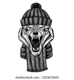 Wolf Dog Wild animal Cool animal wearing knitted winter hat. Warm headdress beanie Christmas cap for tattoo, t-shirt, emblem, badge, logo, patch