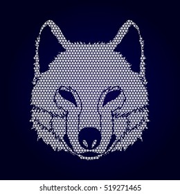 Wolf face front view designed using geometric pattern graphic vector.